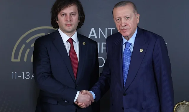 Cumhurbaşkanı Erdoğan, Gürcistan Başbakanı Kobakhidze ile görüştü
