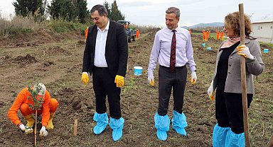 Dalaman Açık Ceza İnfaz Kurumunda 10 dekar alana Sakız ağacı fidanı dikildi