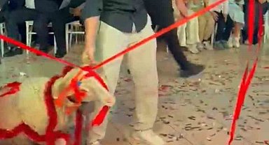 Damada verilen hediyeye herkes şaştı kaldı