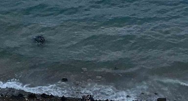 Datça'da virajı alamayan araç denize uçtu: 1 yaralı