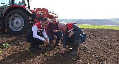 Deneme sahasından elde edilecek veriler bölge tarımına yön verecek