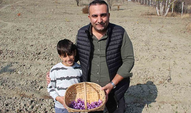 Denemek için ekti, 250 metrekarelik tarlasında dünyanın en pahalı baharatını yetiştirdi