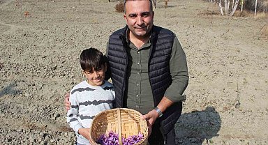 Denemek için ekti, 250 metrekarelik tarlasında dünyanın en pahalı baharatını yetiştirdi