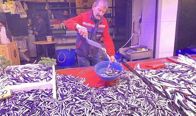 Denizlerde bollaşan hamsi tezgahlarda 100 TL'ye yer buldu