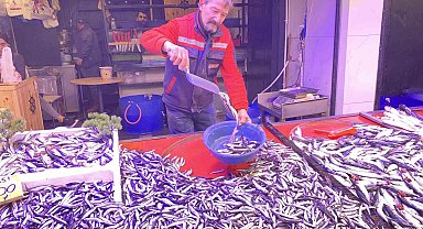 Denizlerde bollaşan hamsi tezgahlarda 100 TL'ye yer buldu