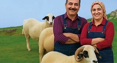 Denizli Büyükşehir'den üreticiye koyun ve koç desteği