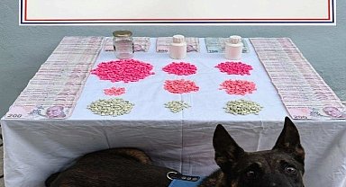 Denizli'de tacirlerine operasyon düzenlendi