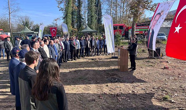 Devrek'te fidan dikim programı