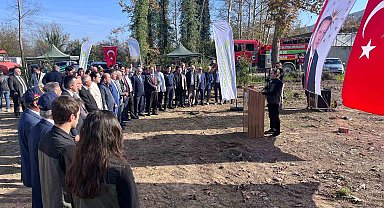 Devrek'te fidan dikim programı