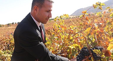 Dicle'de modern bağcılığa yönelik yüzde 50 hibeli tarım aletleri desteği başvurusu başladı