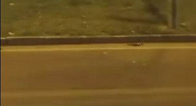 Diyarbakır'da araç refüje uçtu: 1 yaralı