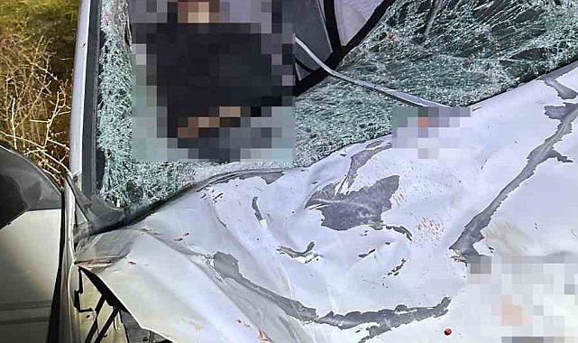 Diyarbakır'da iki otomobil ile at çarpıştı: 1 ölü, 7 yaralı