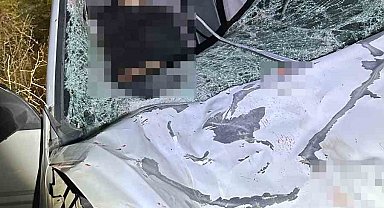 Diyarbakır'da iki otomobil ile at çarpıştı: 1 ölü, 7 yaralı