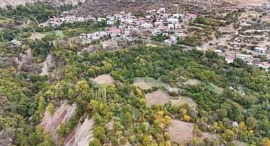 Diyarbakır'ın bu köyünde ne eksen onu biçiyorsun