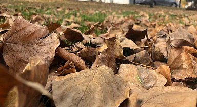 Dökülen yaprakla kartpostallık görüntüler oluşturdu