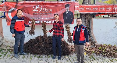Domaniç'te çiftçilere yüzde 75 hibeli 3 bin adet ahududu fidanı dağıtıldı