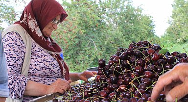Dondurulmuş kirazda da dünya lideriyiz