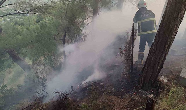 Dörtyol'da ormanlık yangını