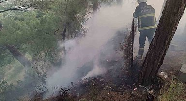 Dörtyol'da ormanlık yangını