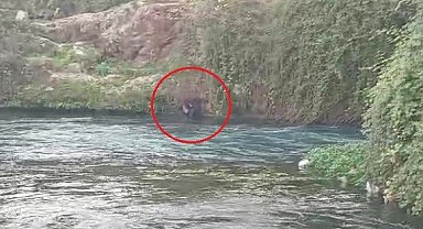 Düden Çayı'na düşen şahsı itfaiye ekipleri kurtardı