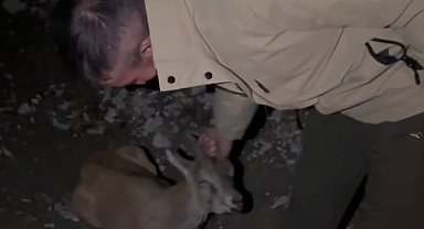 Duyarlı gençlerden örnek davranış