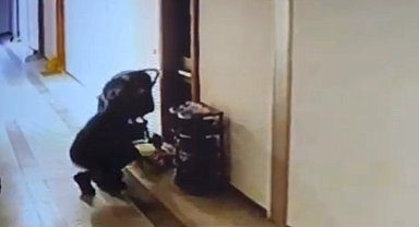 Düzce'de kuryenin ayakkabı hırsızlığı kameraya yansıdı