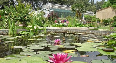 Ege Üniversitesinin endemik tür cenneti: Botanik Bahçesi