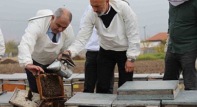 Elazığ arı kovanları incelendi