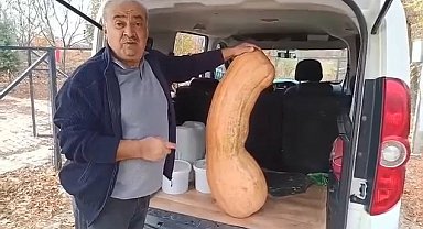 Elazığ'da 47 kilogramlık 113 santimetre kabak görenleri şaşırttı