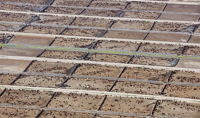 Endüstriyel hayvancılık küresel iklim hedeflerini tehdit ediyor