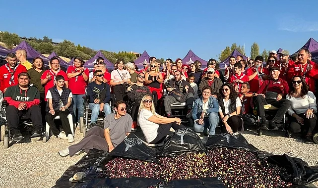 Engelli yurttaşlar zeytin hasadında buluştu