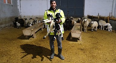 Erzincanlı üretici yüzde 50 hibe desteğiyle 8 milyon TL'lik çiftlik kurdu