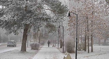 Erzurum güne sis ve kırağı ile uyandı