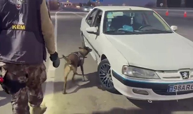 Erzurum'da araçta gizlenmiş uyuşturucuyu 'Magnum' buldu