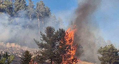 Erzurum'da orman yangını