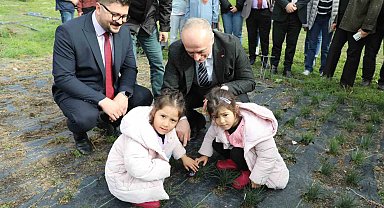 Eskişehir safran üretiminde birincilik yolunda