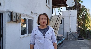 Evin çatısına yuva yapan eşek arıları hastanelik etti