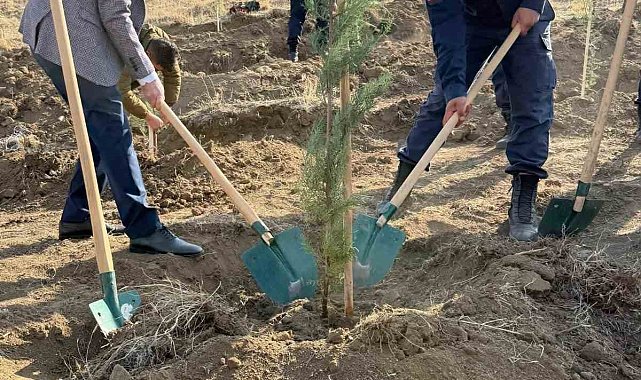 Fidanlar toprakla buluştu