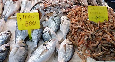 Foça Balık Hali'nde kış sezonu:"Sardalya ve uskumru zamanı"