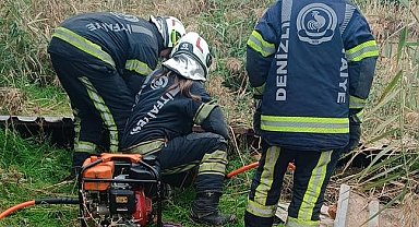 Fosseptik çukuruna düşen köpek kurtarıldı