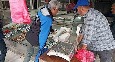 Gelibolu'da balık satış yerlerinde denetim