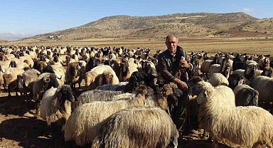 Gercüş'te göçerlerin zorlu yolculuğu