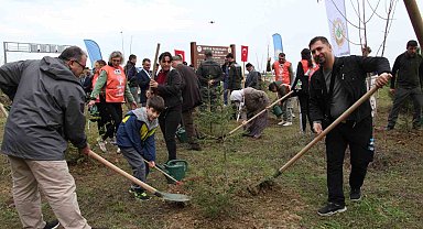 Gerze'de şehit orman görevlileri anısına fidan dikildi