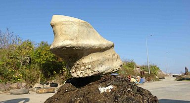Giresun'un Bulancak ilçesinde denizde bulunan cisim balıkçıları şaşırttı
