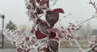 Göle eksi 13 derece, ağaçlar kırağı tuttu