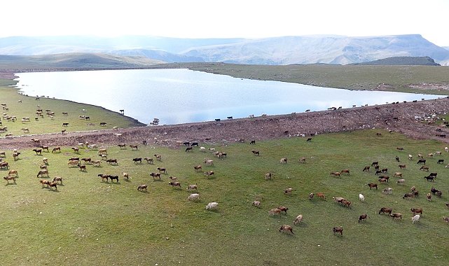 Gölet yapımında Türkiye'ye örnek olan şehir: Erzurum
