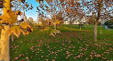 Güzelyurt sonbahar renklerine büründü
