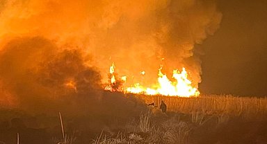 Hakkari'de kuş cennetinde yangın