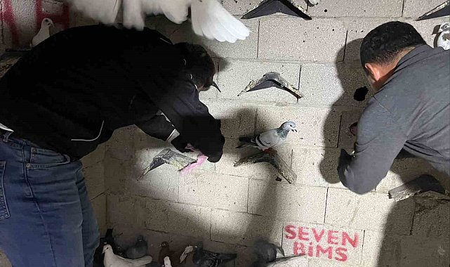 Hatay'da kuş kümesinden 2 kilo 500 gram uyuşturucu madde ve para çıktı