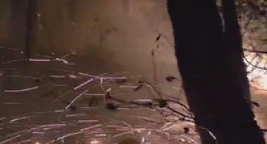 Hatay'da yıldırımın düştüğü ormanlık alandaki yangın 16'ncı saatte kontrol altına alındı